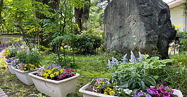 2022年度グリーンボランティア始まりました