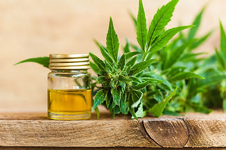 frasco de aceite CBD y plantas de marijuana
