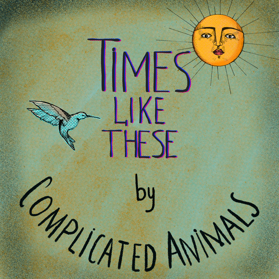 Complicated Animals Times Like These Album Cover Art