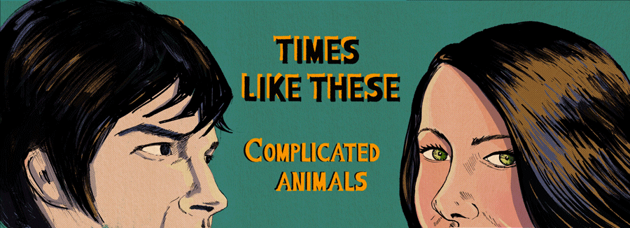 Complicated Animals Times Like These Foo Fighters Cover Song Banner
