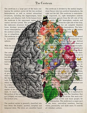 Screenshot 2025-11-06 at 08.07.42.png