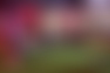 Reality shows: entretenimento ou espelho social?