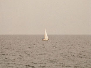 Luto, saudade e mix de emoções nas festas de fim de ano: navegar por sentimentos complexos