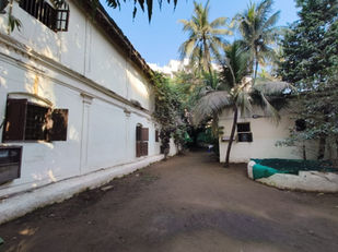 Front Yard Stretch