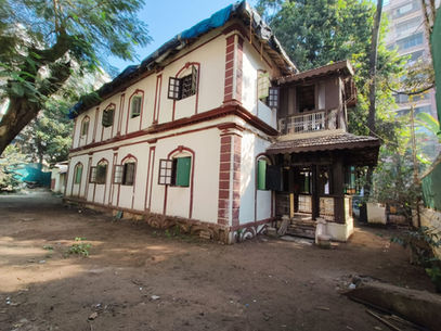Back Yard - Main Structure 