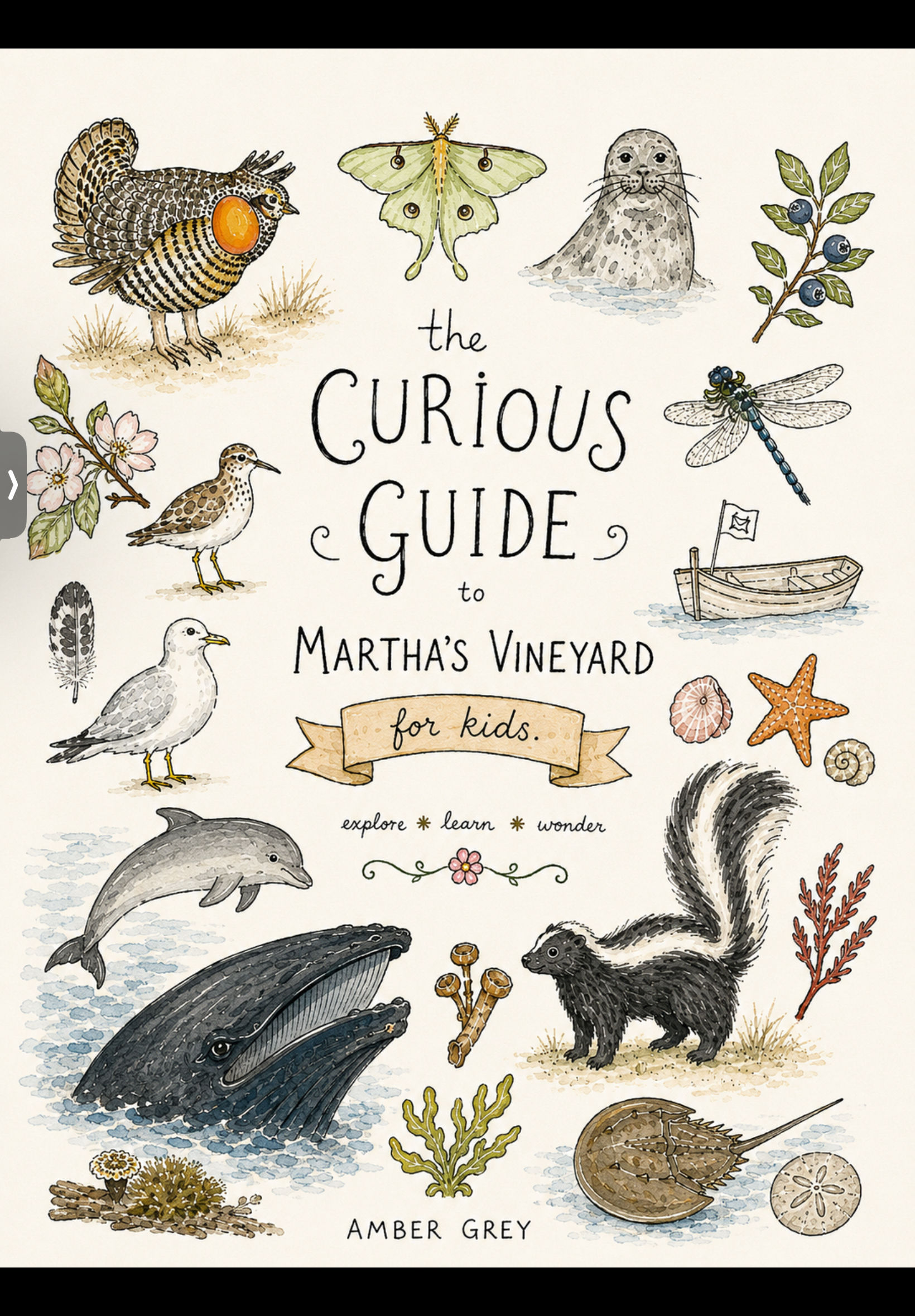 The curious guide for kids