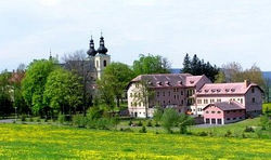 kraliky