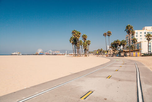 Bike lane down the Venice beach in LA. Beautiful beach in California. Californication..jpg