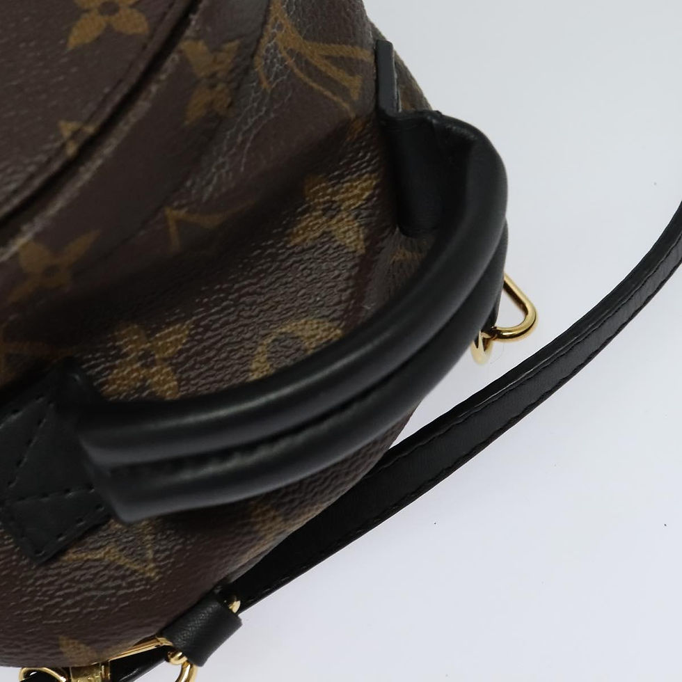 Miniaturbild: Louis Vuitton Palm Springs mini
