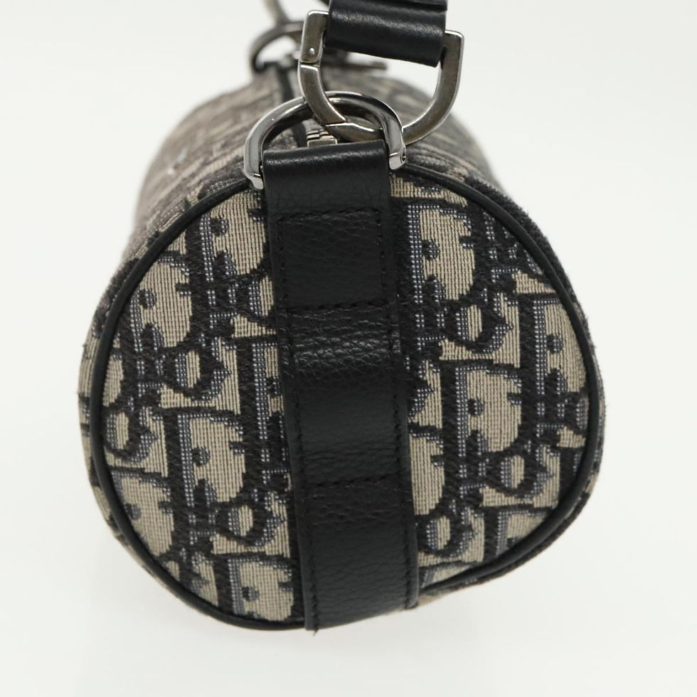 Miniaturbild: Dior Trotter