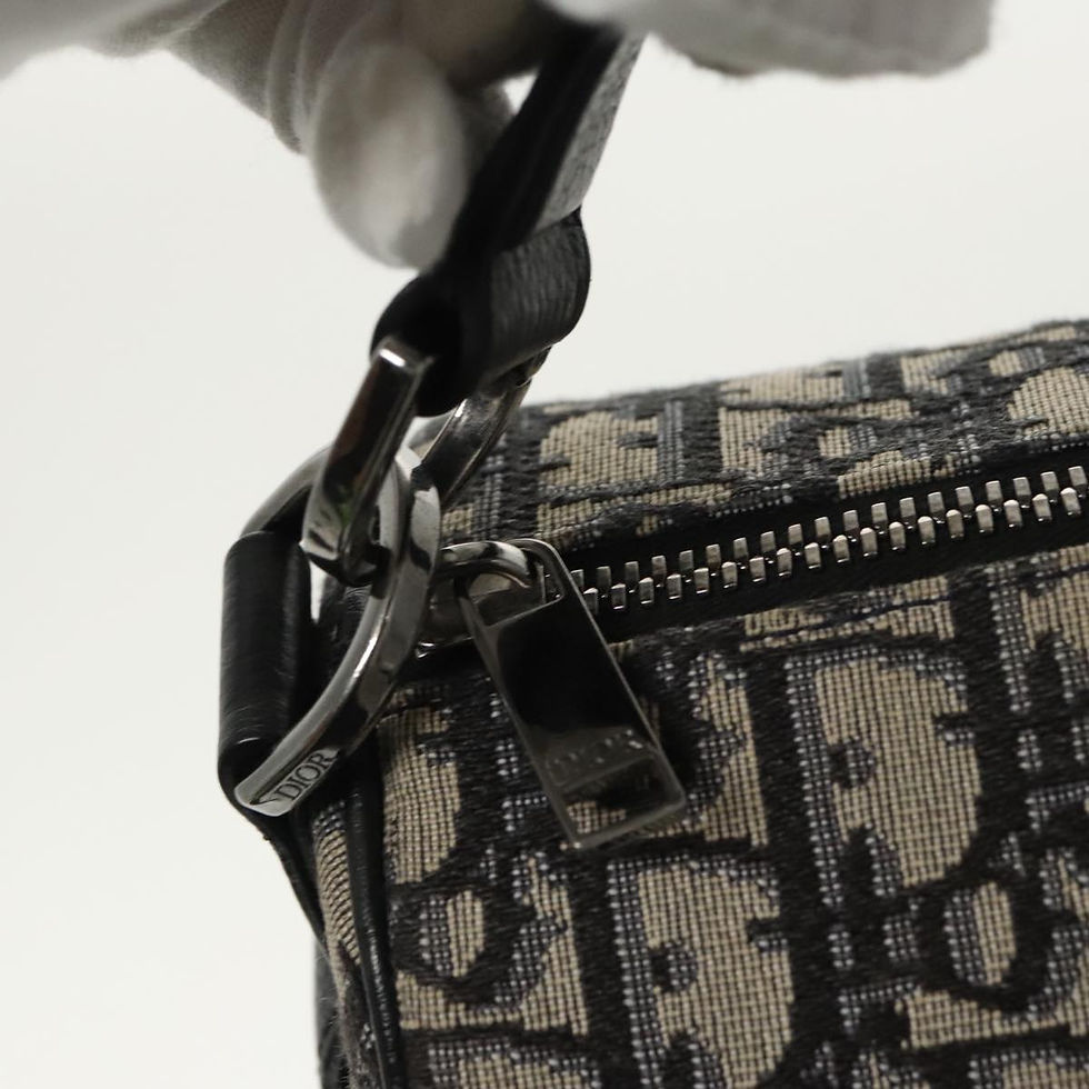 Miniaturbild: Dior Trotter