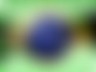 Dino libera emendas, porém, exige transparência