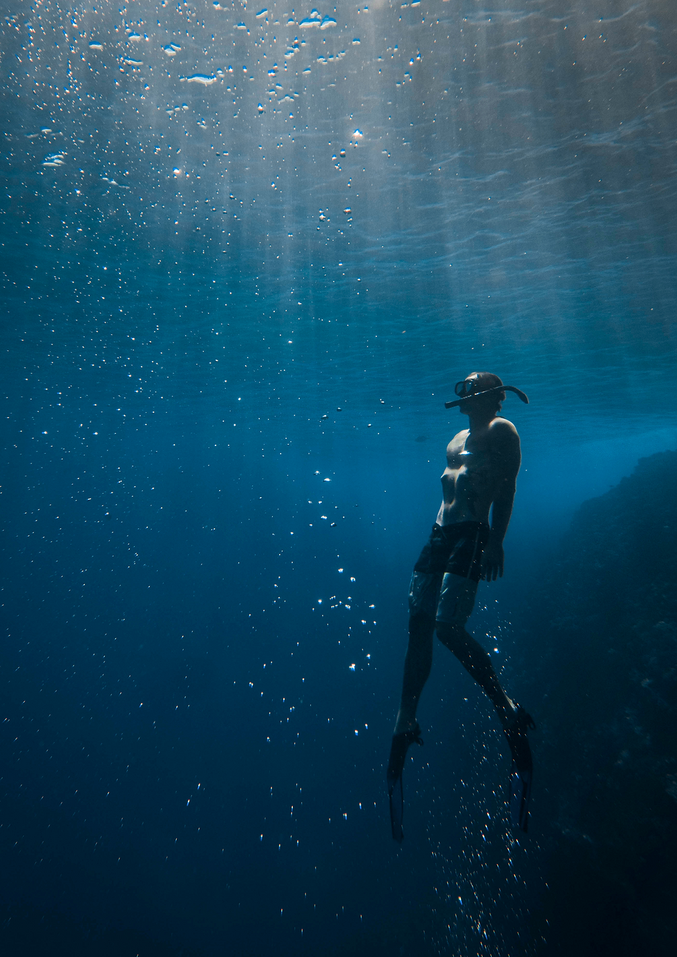 Freedive flyer (1).png
