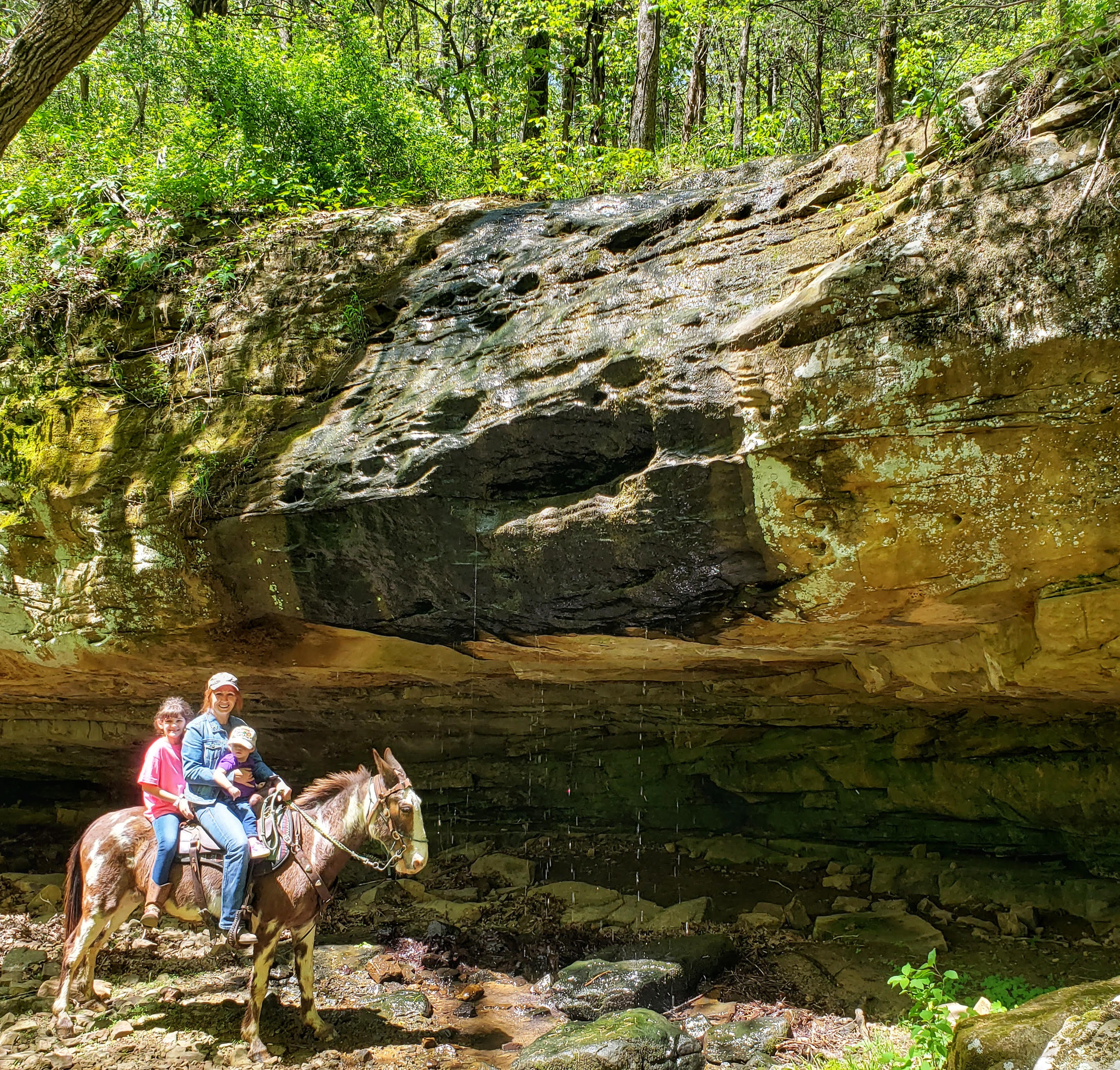 3.5 Hour Guided Trail Ride