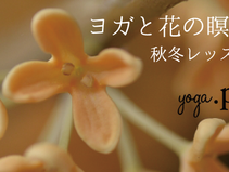 ヨガと花の瞑想　in初華