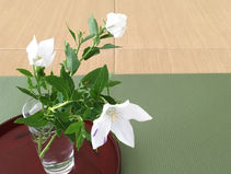 花選び