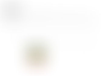 2025年11月のヨガスケジュール