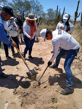 Encuentran Madres Buscadoras de Sonora restos humanos en su rastreo de aniversario
