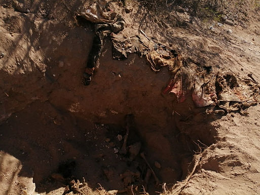Encuentran fosas clandestinas en zona rural de Hermosillo
