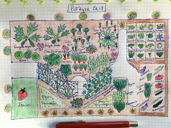 Lovely urban garden