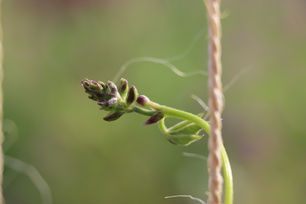 IMG_4955.jpeg