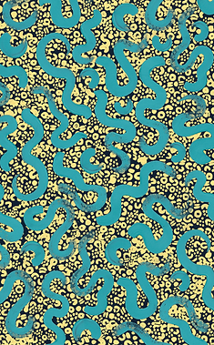 final blue and yellow_edited.png