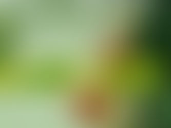 Cliente con bolsas de papel kraft personalizadas saliendo de una tienda