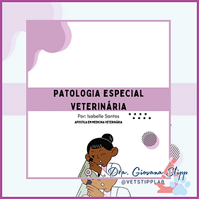 Guia de Interpretação_20250627_075500_0000.png