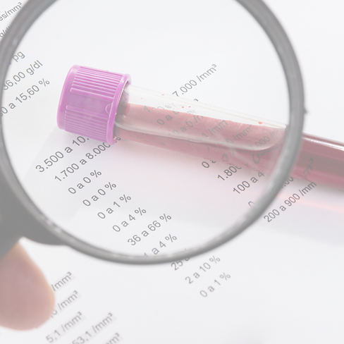 Guia de Interpretação (5).png