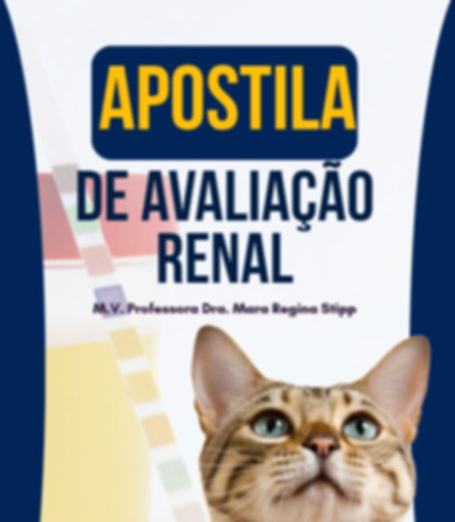Apostila de Avaliação Renal_20250818_155854_0000.jpg