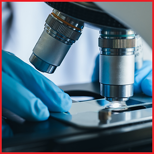 Lamina sendo analisada em microscópio