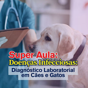 Guia de Interpretação (7).jpg