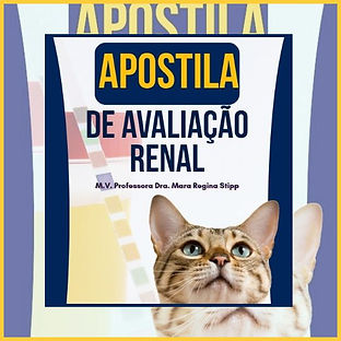 Guia de Interpretação_20250818_160135_0000.jpg