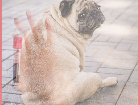 Doenças Endócrinas e a Medula Óssea: Como Hormônios Influenciam a Eritropoiese