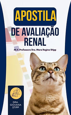 Apostila de Avaliação Renal.jpg