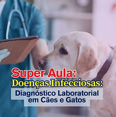 Guia de Interpretação (7).jpg