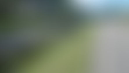 Senior Drainage Engineer | Tallahassee, FL