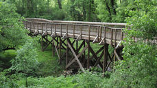 Senior Project Manager - Greenways | Raleigh, NC
