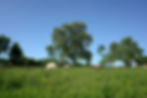 DSC01125.jpg