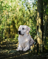 IMG_7661.JPG