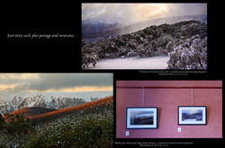 Post exhibition sell-off.