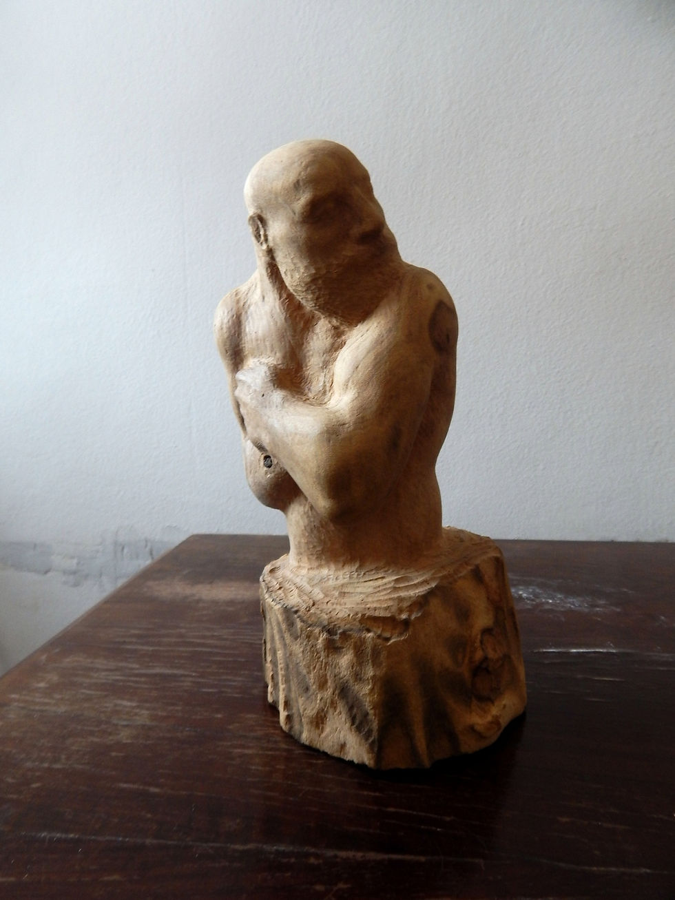 drvo, 23x11x10 cm, 2016.