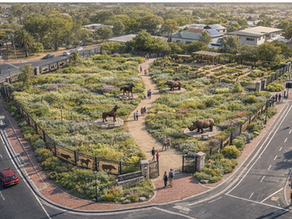 Honouring the Past, Growing the Future