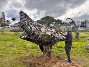 A New Face in the Park