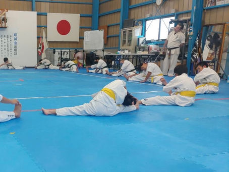 見よ!この柔らかさ!