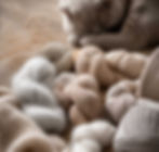 main img.8.jpg