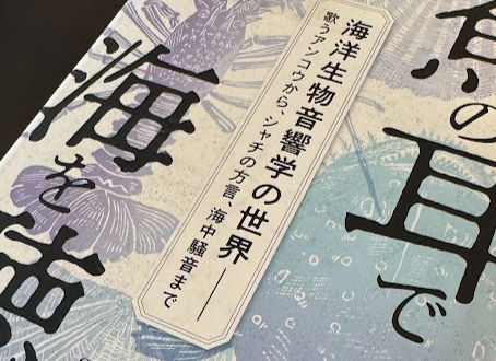 該非判定のお仕事体験(ハイドロホン)