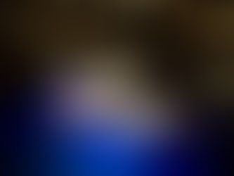 所内お花見イベント🌸