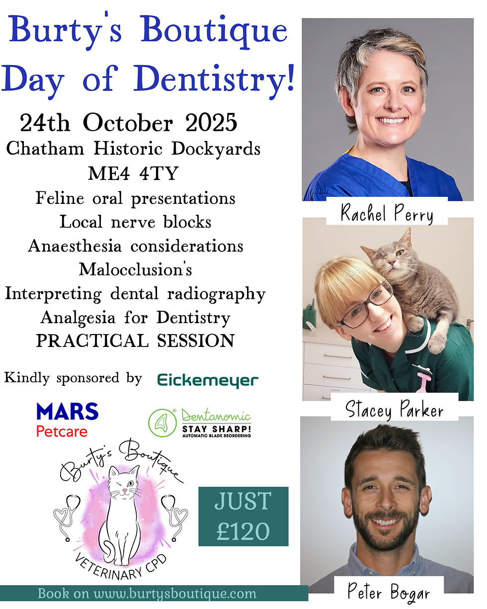 Burty's Boutique Day of Dentistry CPD