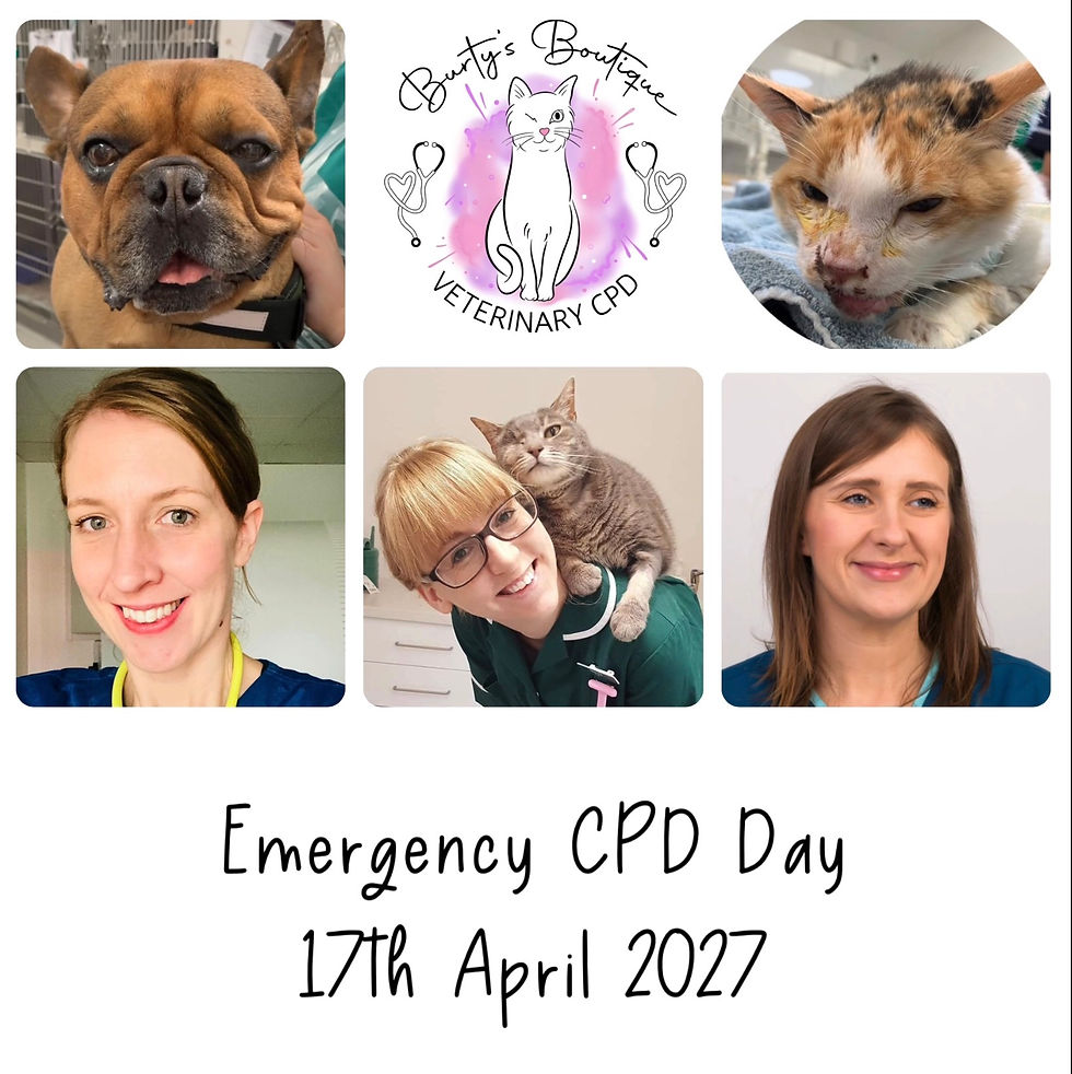 Burty's Boutique Emergency CPD Day